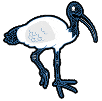 The University of Queensland Sticker