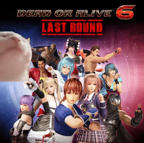 Dead Or Alive Doa GIF