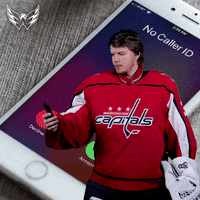 Stanley Cup No GIF by Capitals
