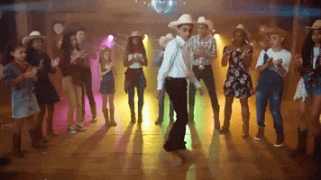 Kacey Musgraves High Horse GIF by Acapop! KIDS