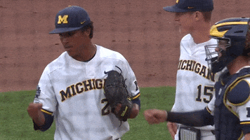 College Sports Sport GIF by Michigan Athletics