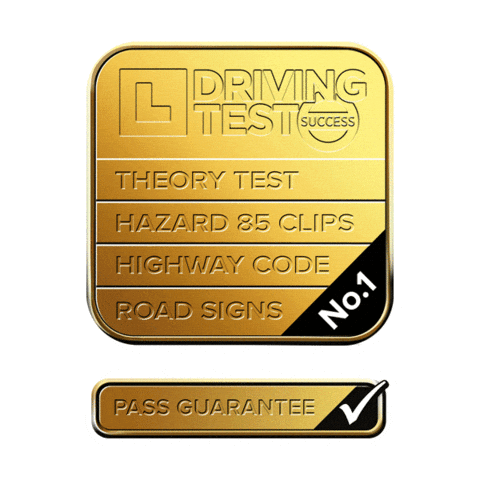 Driving Test Success Sticker
