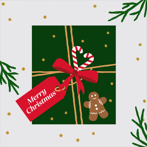 Merry Christmas GIF by Jessica Lau