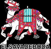 Evdb GIF by ELSAVADEBODA