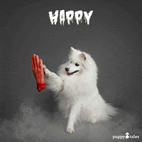 High Five Love Dogs GIF by puppytales
