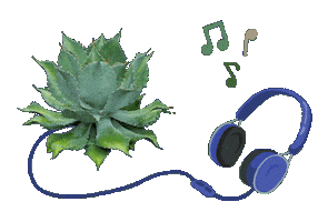 Mexico Musica Sticker by Santa Sabia Media