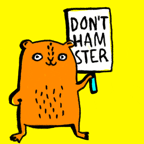 Hamster No GIF by Kochstrasse™
