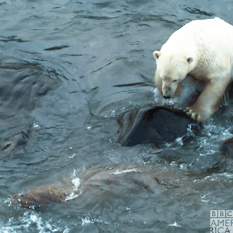 Https Encrypted Tbn0 Gstatic Com Images Q Tbn 3aand9gcrzzuqmoxr41os76lu13knwhdj7fjtxzna99g Usqp Cau