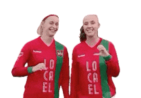 Haarlem Sticker by DSS Voetbal