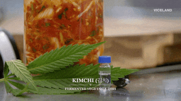 weed marijuana GIF by Bong Appétit