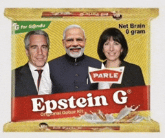 Narendra Modi GIF