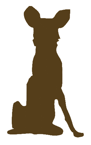 Zambian Carnivore Programme Sticker