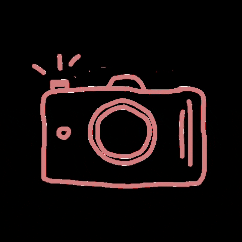 ByMarenPhotography photography camera foto roze GIF