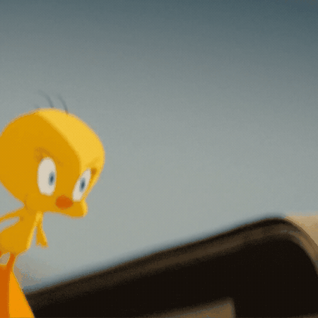 Looking Looney Tunes GIF by Coyote vs. ACME
