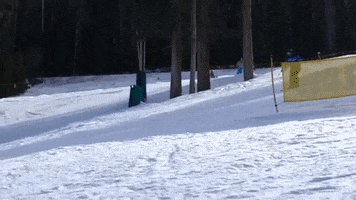 Moguls GIF