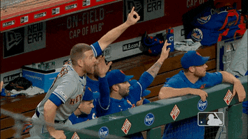 Excited Ny Mets GIF by New York Mets