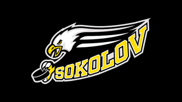 HC Baník Sokolov GIF