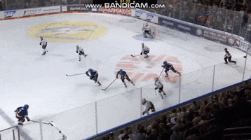 Jj Peterka GIF