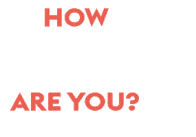 LynxSnowmobiles Sticker
