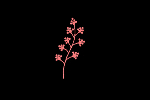 Aesthetic GIF