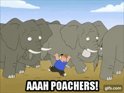poachers meme gif