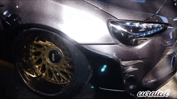 Camber Stancenation GIF by Curated Stance Club!