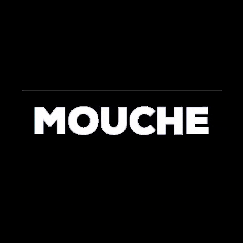 mouche meaning, definitions, synonyms