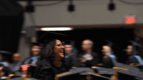 Northern Illinois University GIF - Find & Share on GIPHY