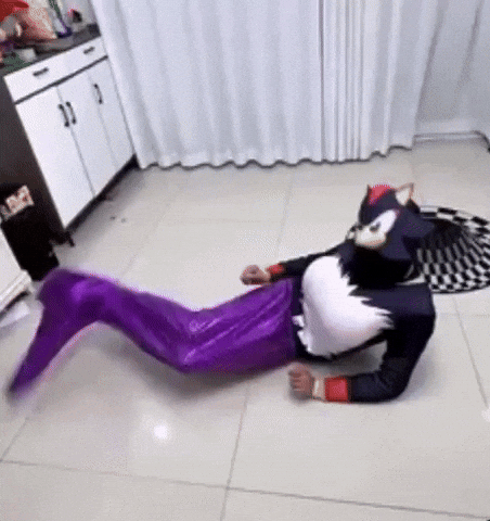 Shadow The Hedgehog GIF