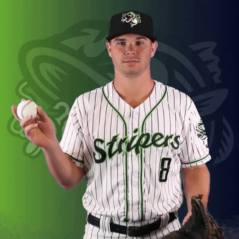 Gwinnett Stripers GIF