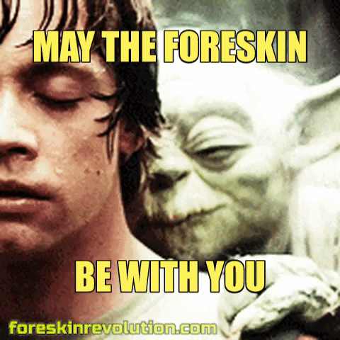 Star Wars GIF by Foreskin Revolution