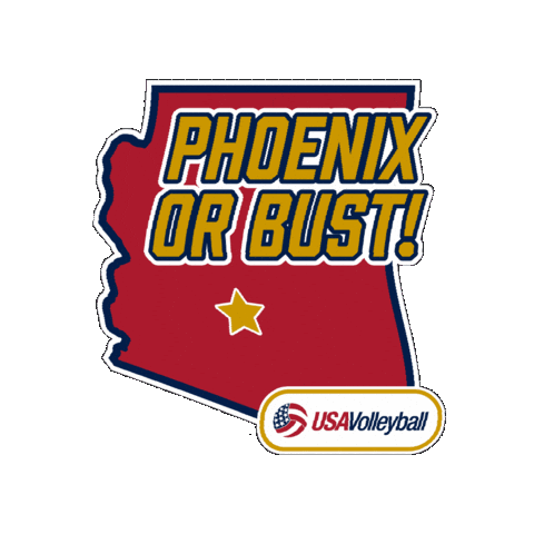 Phoenix Arizona Sticker by USA Volleyball