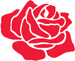 Teamsalsa Sticker by Shop Salice Rose