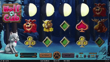 FreeSpinsInCasino GIF