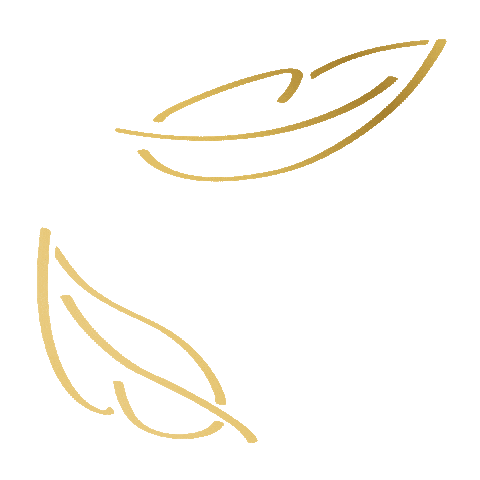 Baby Love Sticker by Pampers