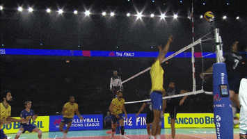 Awesome Brazil GIF by Volleyball World