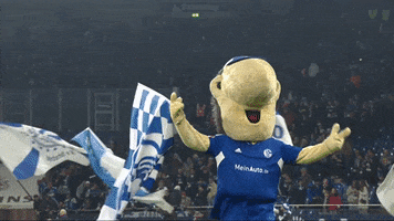 Football Win GIF by FC Schalke 04