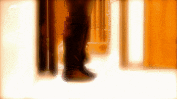 Dog GIF