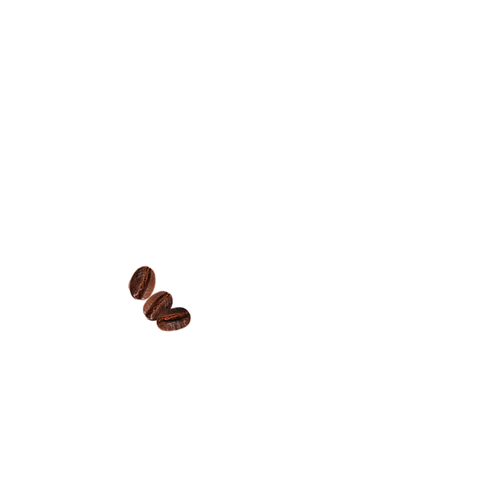 Coffee Beans GIF by Bill Miller Bar-B-Q