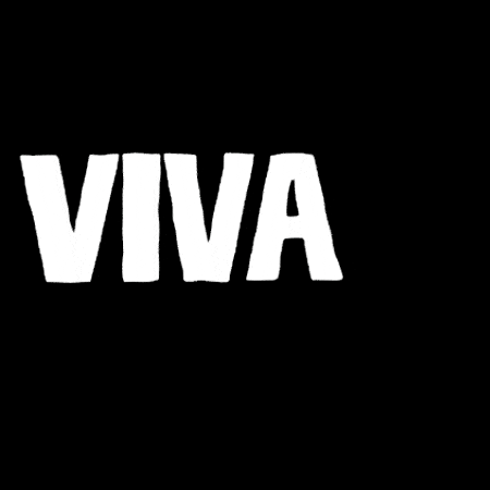 Mexico Monterrey GIF by Viva Aerobus