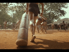 Ram Charan Fight GIF