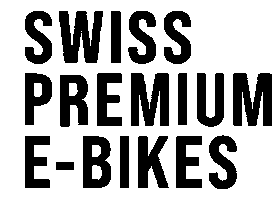 FLYER E-BIKES Sticker