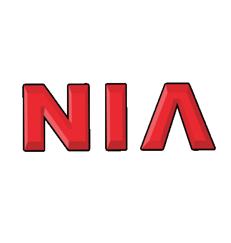 NIA Body Kits Sticker