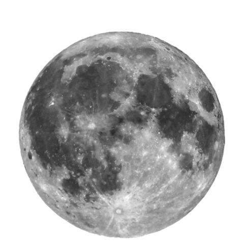 Astrology Sticker by Lori Haberkorn