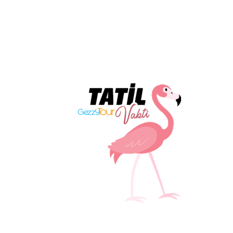 Gezzy Tour Sticker