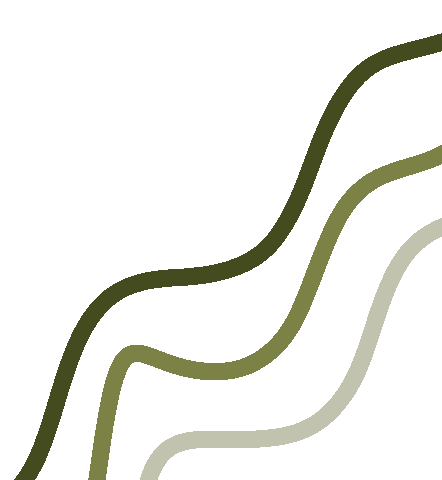 Autumn Leaves Fall Sticker