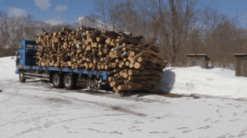 Firewood GIFs - Get the best GIF on GIPHY