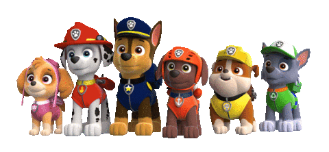 paw patrol nick