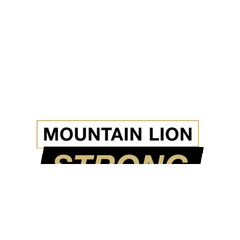 Mountainlionstrong Sticker by UCCS