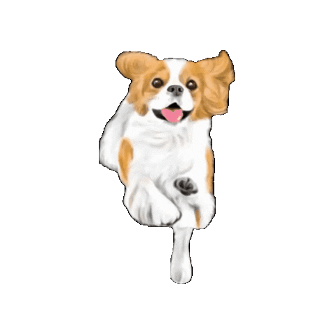 Cavalier Sticker